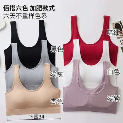 Plus-Size Bra